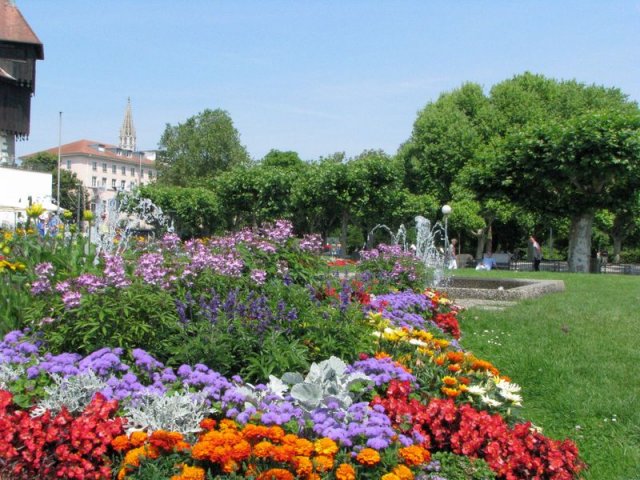 hafen_blumen