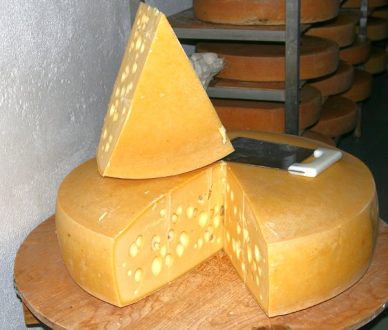 cheese_gora
