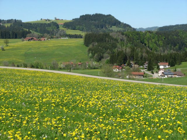 altenberg