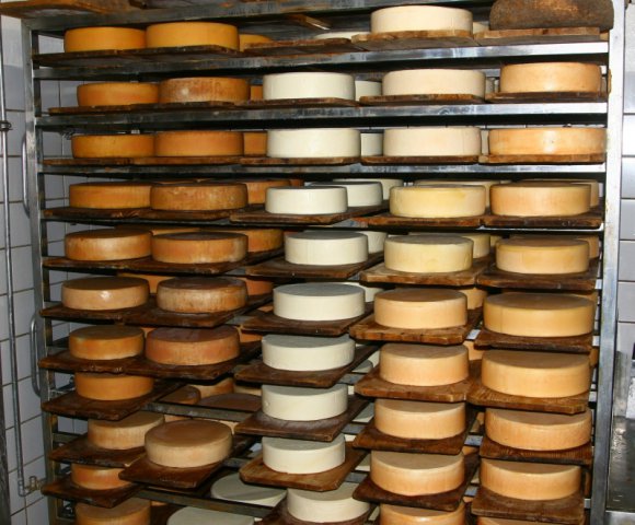 cheese_05_a